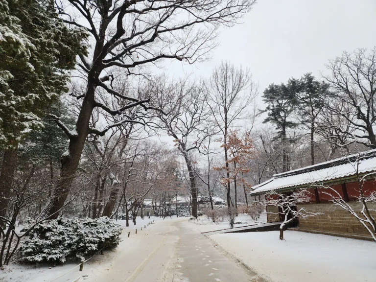 Snow-covered path beneath bare winter trees beside a traditional red wall and tiled roof in Seoul